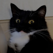 Steam Community Avatar Steam Community Avatar