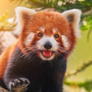 Steam Community Avatar Steam Community Avatar