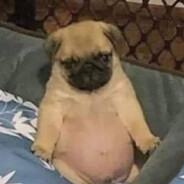 Steam Community Avatar Steam Community Avatar