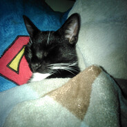 Steam Community Avatar Steam Community Avatar