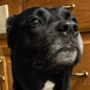 Steam Community Avatar Steam Community Avatar