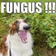 Steam Community Avatar Steam Community Avatar