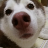 Steam Community Avatar Steam Community Avatar