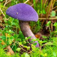 Steam Community Avatar Steam Community Avatar