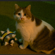 Steam Community Avatar Steam Community Avatar