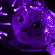 Steam Community Avatar Steam Community Avatar