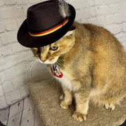 Steam Community Avatar Steam Community Avatar