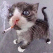 Steam Community Avatar Steam Community Avatar