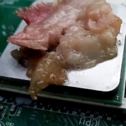 Steam Community Avatar Steam Community Avatar