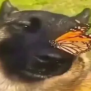 Steam Community Avatar Steam Community Avatar