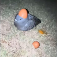 Steam Community Avatar Steam Community Avatar