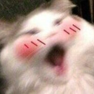 Steam Community Avatar Steam Community Avatar