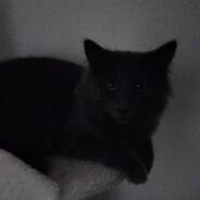 Steam Community Avatar Steam Community Avatar