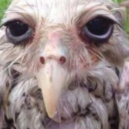 Steam Community Avatar Steam Community Avatar