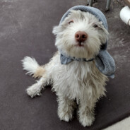 Steam Community Avatar Steam Community Avatar