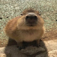 Steam Community Avatar Steam Community Avatar