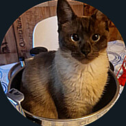 Steam Community Avatar Steam Community Avatar