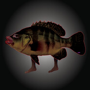 Steam Community Avatar Steam Community Avatar