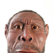 Steam Community Avatar Steam Community Avatar