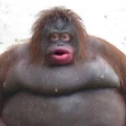 Steam Community Avatar Steam Community Avatar