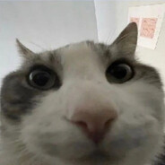 Steam Community Avatar Steam Community Avatar