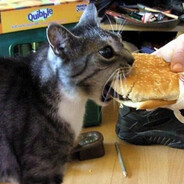 Steam Community Avatar Steam Community Avatar