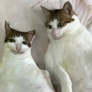 Steam Community Avatar Steam Community Avatar