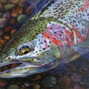 Steam Community Avatar Steam Community Avatar