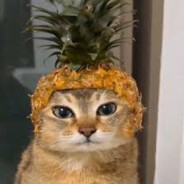 Steam Community Avatar Steam Community Avatar