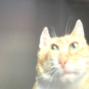 Steam Community Avatar Steam Community Avatar