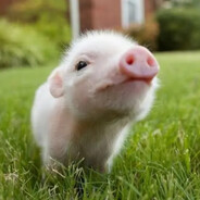 Steam Community Avatar Steam Community Avatar