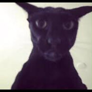 Steam Community Avatar Steam Community Avatar