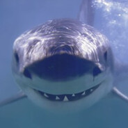 Steam Community Avatar Steam Community Avatar