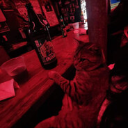 Steam Community Avatar Steam Community Avatar