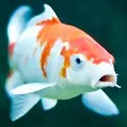 Steam Community Avatar Steam Community Avatar