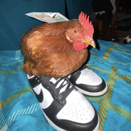 Steam Community Avatar Steam Community Avatar