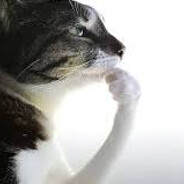 Steam Community Avatar Steam Community Avatar