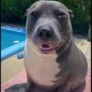 Steam Community Avatar Steam Community Avatar