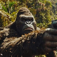 Steam Community Avatar Steam Community Avatar