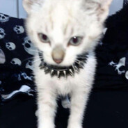 Steam Community Avatar Steam Community Avatar