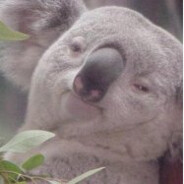 Steam Community Avatar Steam Community Avatar