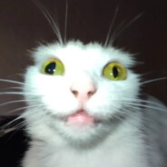 Steam Community Avatar Steam Community Avatar