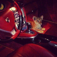 Steam Community Avatar Steam Community Avatar