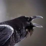 Steam Community Avatar Steam Community Avatar