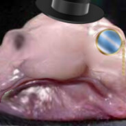 Steam Community Avatar Steam Community Avatar