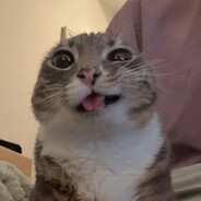 Steam Community Avatar Steam Community Avatar