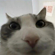 Steam Community Avatar Steam Community Avatar