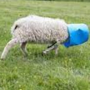 Steam Community Avatar Steam Community Avatar