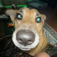 Steam Community Avatar Steam Community Avatar