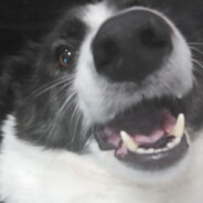 Steam Community Avatar Steam Community Avatar